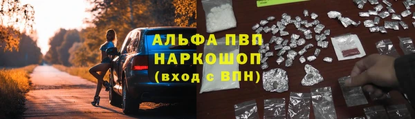прущие грибы Абаза