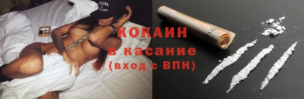 прущие грибы Абаза