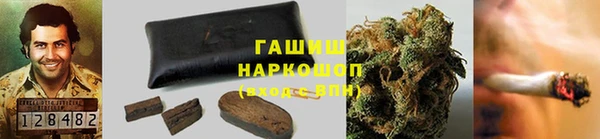прущие грибы Абаза