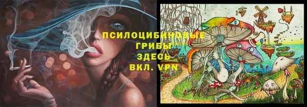 прущие грибы Абаза