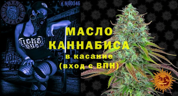 прущие грибы Абаза