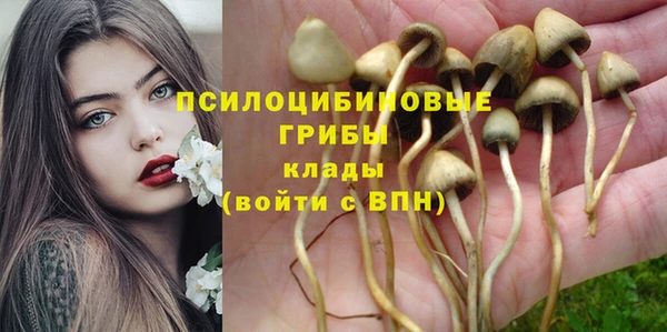 ALPHA PVP Алзамай