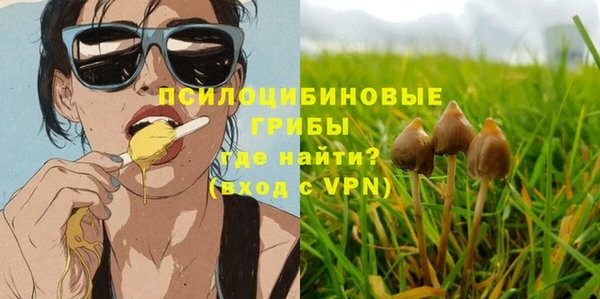 гидропоника Алексеевка