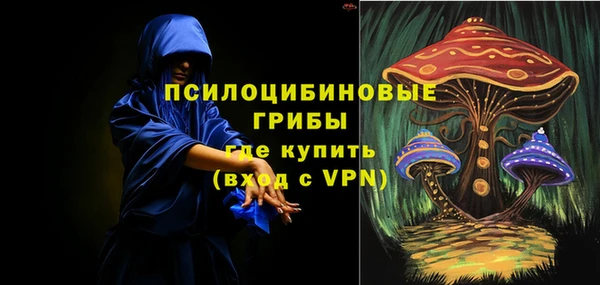 прущие грибы Абаза
