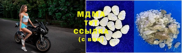 прущие грибы Абаза