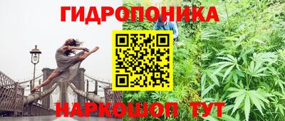шишки Комсомольск-на-Амуре