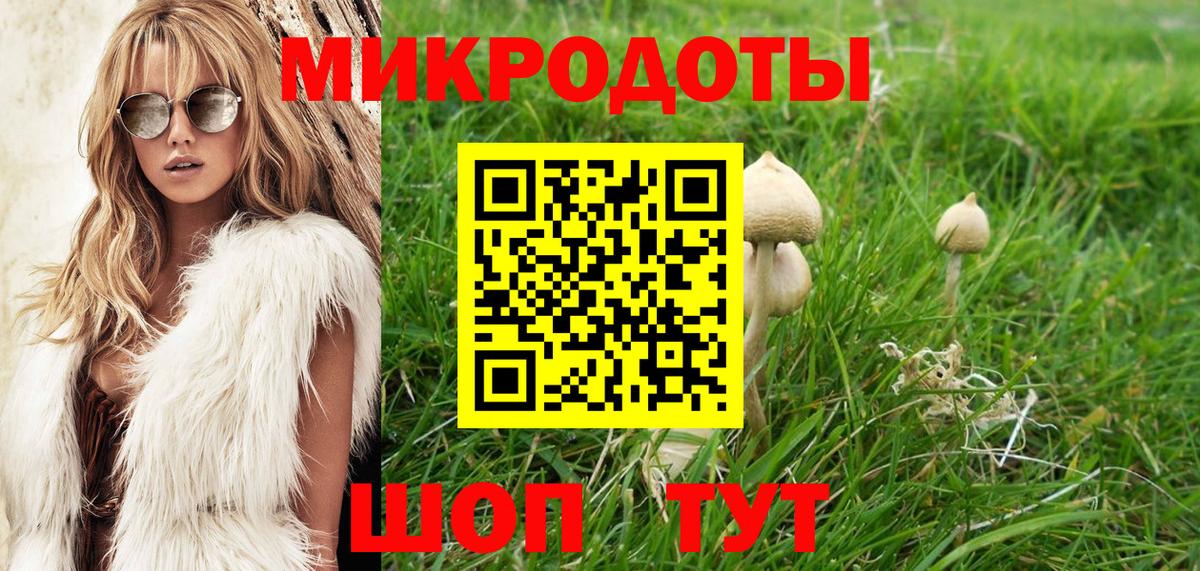 Железноводск  Псилоцибиновые грибы мицелий  Вход с VPN 