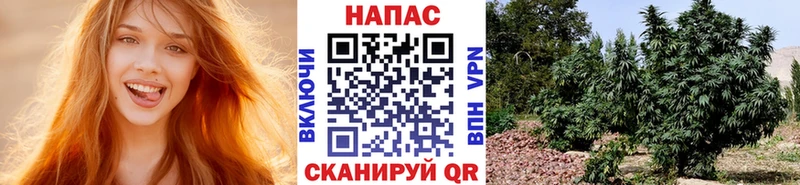 Конопля тримм  дарнет шоп  Железноводск 